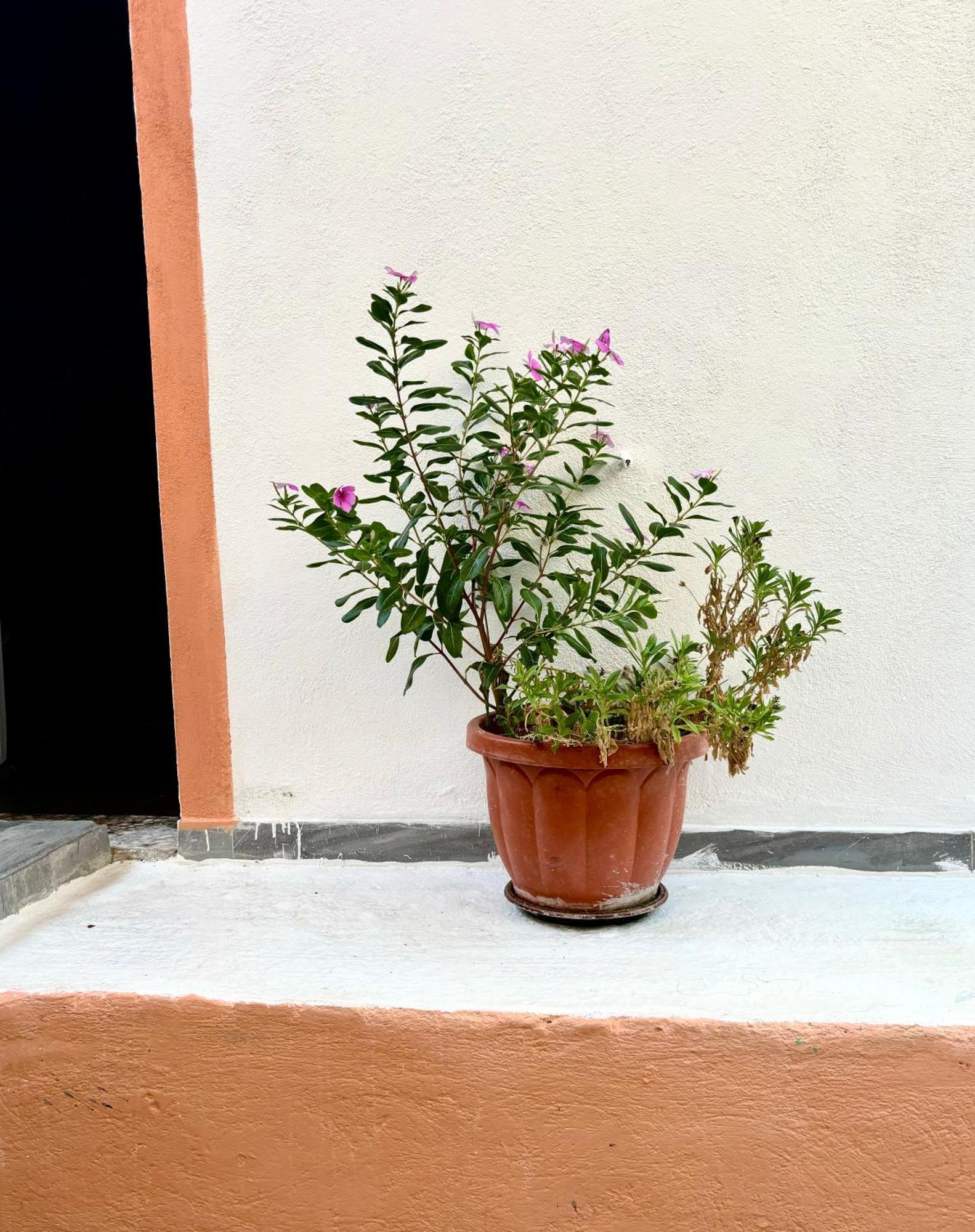 Traditional Corfiot House Perivolion ภายนอก รูปภาพ