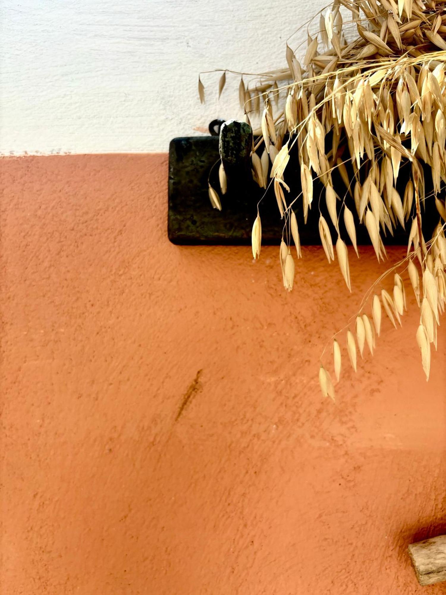 Traditional Corfiot House Perivolion ภายนอก รูปภาพ