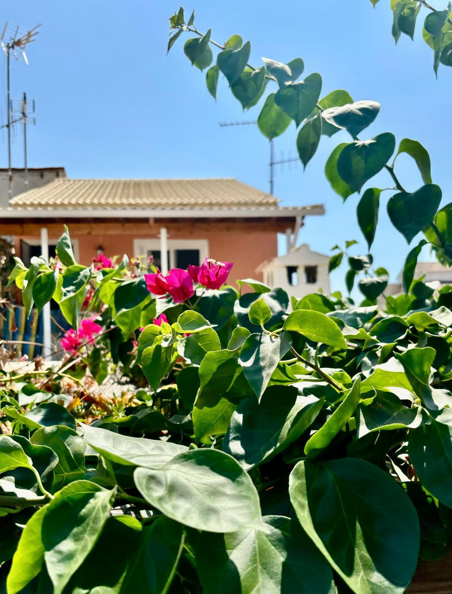 Traditional Corfiot House Perivolion ภายนอก รูปภาพ